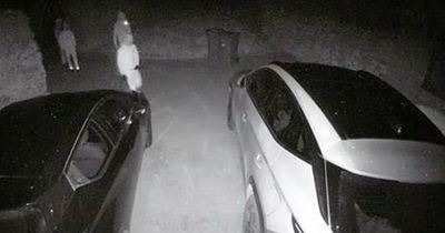 Camera catches moment it scared off gang of would-be burglars