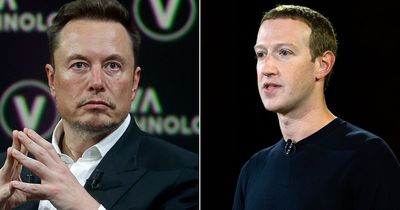 Elon Musk and Mark Zuckerberg agree to CAGE FIGHT in Twitter exchange