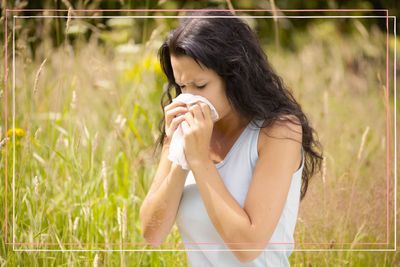 Why is hay fever so bad this year?