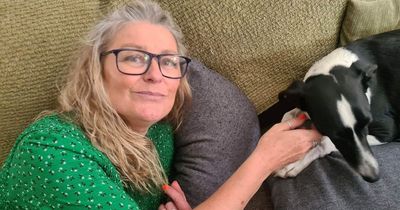 'I didn't know I had breast cancer until my dog sniffed it out while I was watching TV'