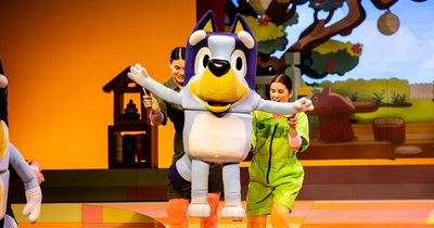 Edinburgh families delight as dates for smash hit kids show Bluey stage show announced