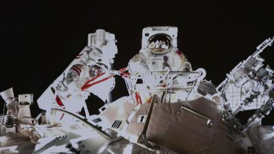Study reveals how immune system of astronauts breaks down