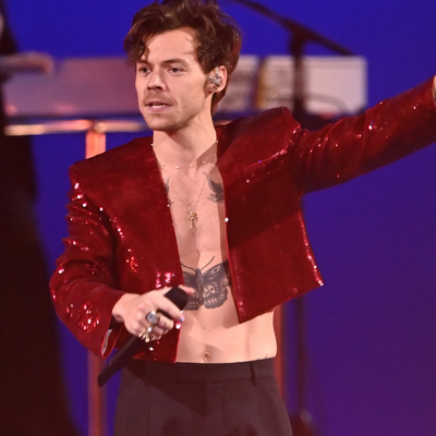 Harry Styles Stopped His Concert So a Pregnant Fan Could Go for a Pee and "Not Miss a Thing"