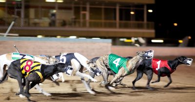 Greyhound Racing Ireland’s new traceability scheme branded 'not fit for purpose'