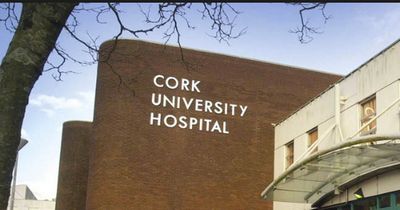 Warning as it emerges Cork teen fell into coma and died after drinking shots in card game with friends