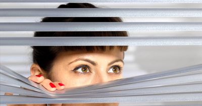 'Neighbour tried to get me in trouble at work as she doesn't like my yard at home'