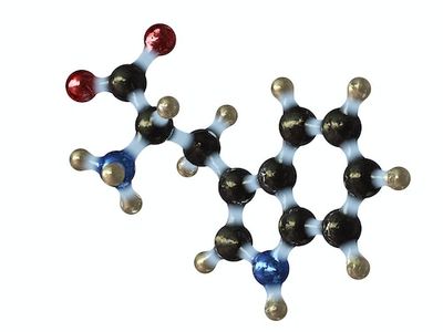 Astronomers Find a Crucial Ingredient for Life in a Cloud in Space