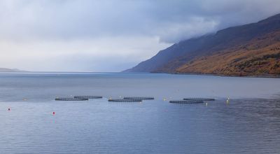 Govt looks at slashing RMA red tape for aquaculture