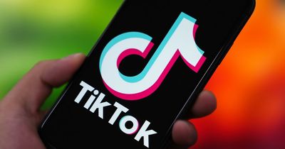 TikTok launches shopping platform to rival Amazon and Shein in major app change
