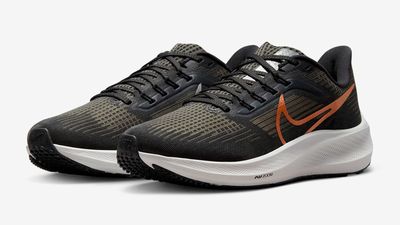 Grab The Nike Pegasus 39 For As Little As $62 In The Nike Summer Sale