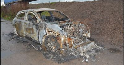 Connor Chapman associate claims 'someone else' had phone when murder car burned out