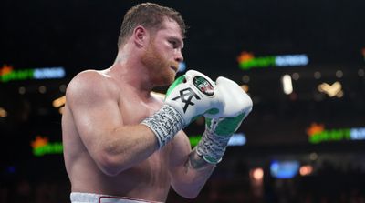 Canelo Alvarez Agrees to Multifight Deal With Premier Boxing Champions