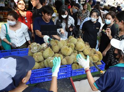 Durian lovers rejoice as prices plunge on surplus