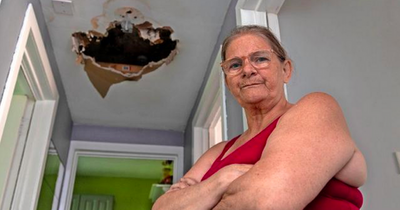 Scots mum forced to move from 'mouldy' flat after 'mushrooms began growing on the walls'
