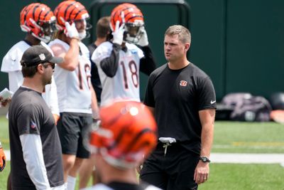 Bengals planning all-access show for fans