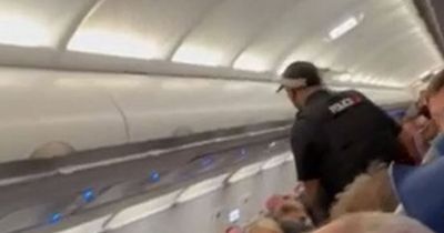 Police board plane after woman refused to put seatbelt on child