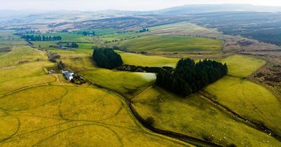 Dream offer to live in farmhouse for free but you must like animals