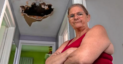 Scottish mum with 'mushrooms growing on walls' forced to move from 'mouldy' flat