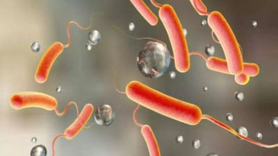 Parts of Kalol town in Gujarat's Gandhinagar declared cholera affected after 4 cases reported