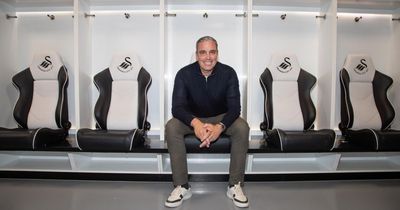 The many tasks facing new Swansea City boss Michael Duff as scale of the job stark