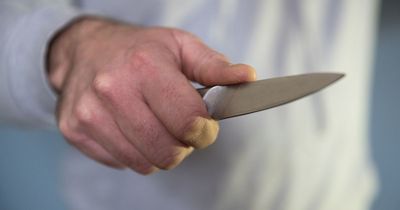 ‘Skull masked’ teen threatens to stab Bristol woman in broad daylight