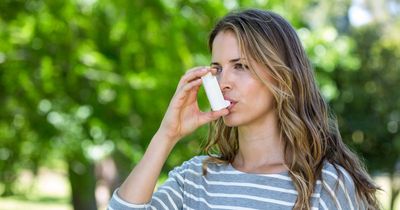 Six major asthma triggers as warning issued to millions during hot weather