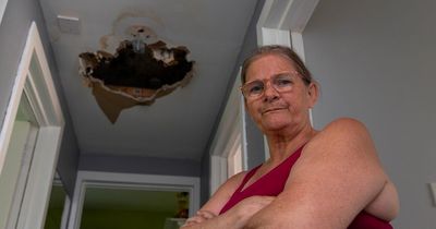 Gran protests over Perth family's damp flat which has fungi sprouting from the ceiling