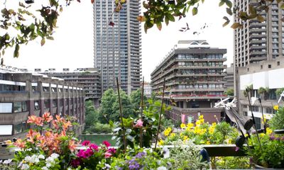 Our cities need greening up. So why are some councils so keen to ban urban plots?