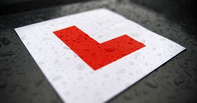 Driving instructors taught importance of a calming presence