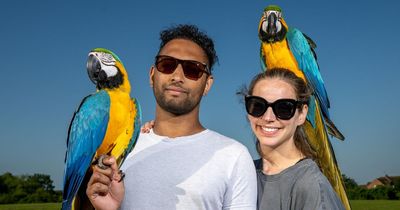 Couple with messy giant pet parrots lose rent deposit but have 'no regrets'