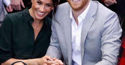 Harry and Meghan urged to return to charity work as their popularity 'hinges' on it