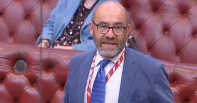 Peer reveals his speech to Parliament was written by AI as he calls for new rules to combat 'misinformation'
