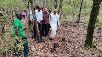 Devotees shocked after leopard tries to drag away boy on Tirumala ghat road