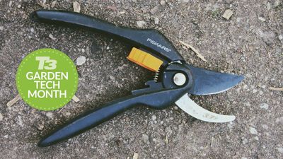 Keep your garden tools in top condition with this rust-busting hack from TikTok