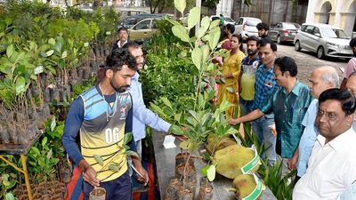 Jackfruit festival is back in Mysuru