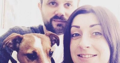 'The vets and the crematorium lost our beloved dog's ashes'