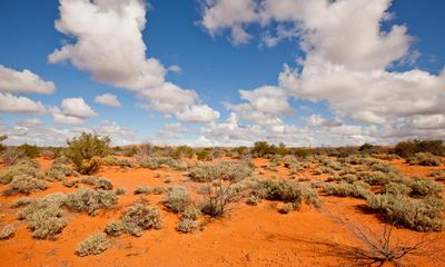 Beyond the fence: what does it mean to rewild the Australian desert?