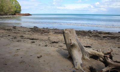 The sudden warming of Britain’s seas will tear through ocean life like a wildfire