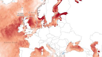 Satellites observe record-breaking marine heatwave hit North Atlantic