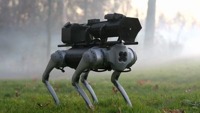 Meet the ‘world’s first’ robot dog with a flamethrower attachment