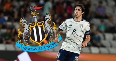 What will Sandro Tonali's squad number be? The Newcastle United arrival could see Eddie Howe go into full 'Football Manager mode'