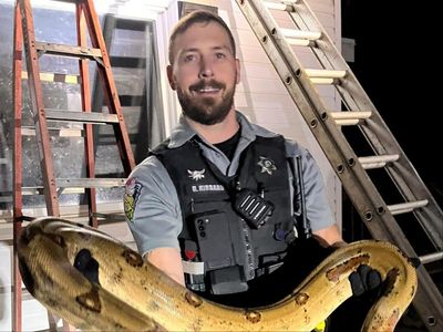 Firefighters pull giant boa constrictor from roof of Wisconsin home: ‘The stuff of nightmares’
