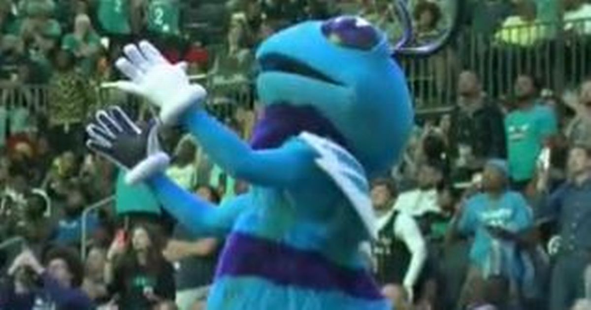 Charlotte Hornets mascot makes NBA Draft feelings…