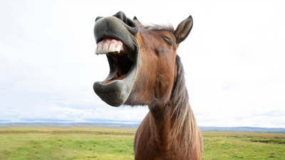 5 science based reasons why laughter is the best medicine