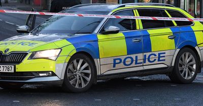 Two held after police car rammed following burglaries