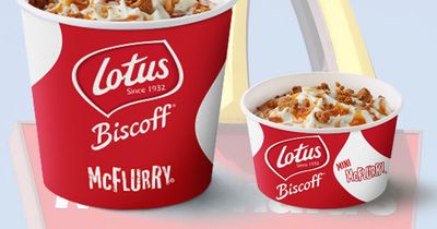 How to make McDonald's Biscoff McFlurry at home for just 27p as fast food chain launch new dessert