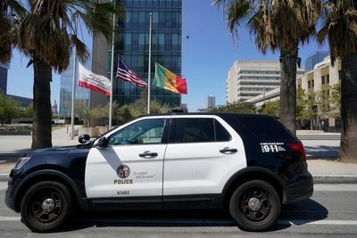 Police in California aren't immune from certain misconduct lawsuits, high court rules