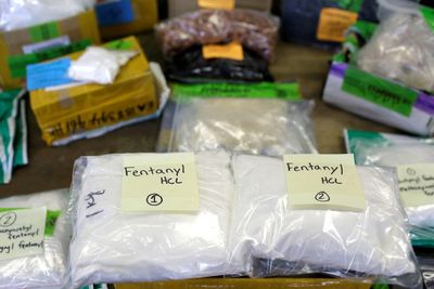 US charges Chinese companies with trafficking fentanyl materials