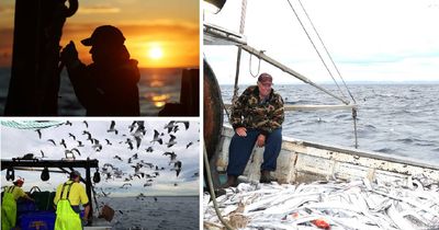 Woken by whales: a day in the life of a Newcastle commercial fisherman