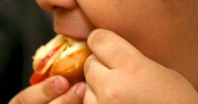 Almost one in four children in Year 6 in Bristol are 'obese'